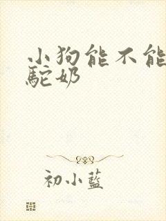 小狗能不能喝骆驼奶