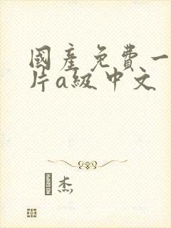 国产免费一级淫片a级中文