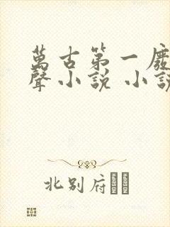 万古第一废材有声小说 小说