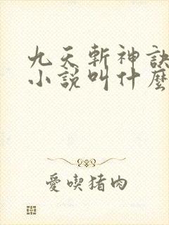 九天斩神诀林辰小说叫什么名