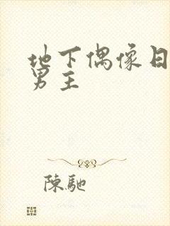 地下偶像日漫双男主