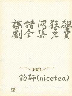 谍错网狂飙电视剧全集免费播放