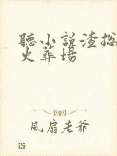 听小说渣总追妻火葬场