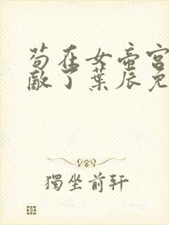 苟在女帝宫我无敌了叶辰免费封面