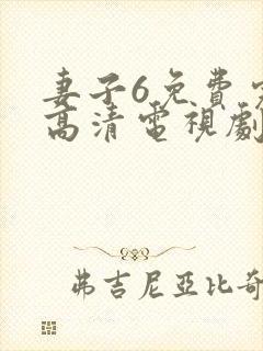 妻子6免费完整高清电视剧在线观看封面