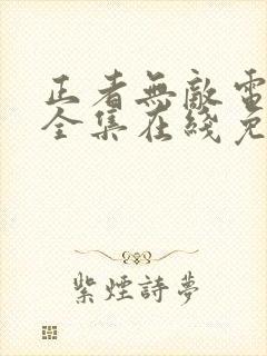 正者无敌电视剧全集在线免费观看封面