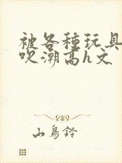 被各种玩具调教吹潮高h文封面