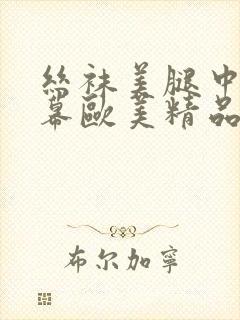 丝袜美腿中文字幕欧美精品封面