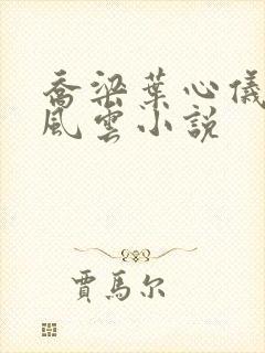 乔梁叶心仪都市风云小说