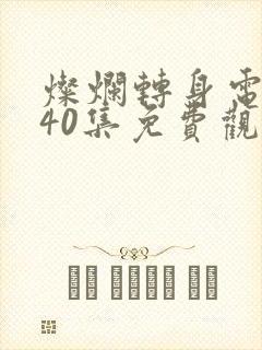 灿烂转身电视剧40集免费观看高清