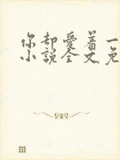 你却爱着一个他小说全文免费阅读