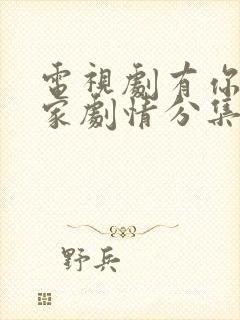 电视剧有你才有家剧情分集介绍