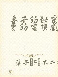 妻子的秘密3免费的电视剧完整版高清