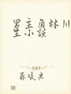 男主角林川的重生小说