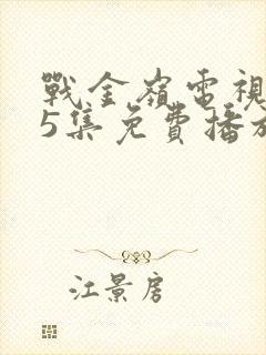 战金岭电视剧45集免费播放