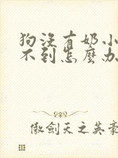 狗没有奶小狗喝不到怎么办