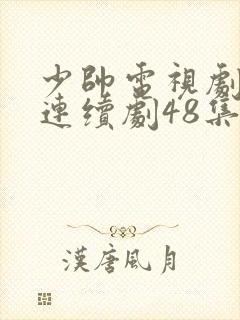 少帅电视剧免费连续剧48集