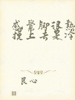 感觉脚很热但是摸上去是冷的