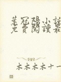 叶冠阳小说全文免费阅读最新章节