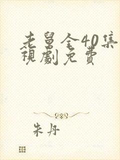 老舅全40集电视剧免费