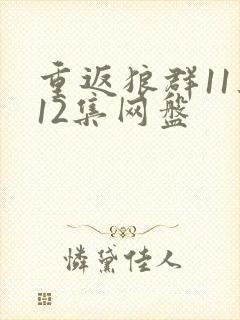 重返狼群11集12集网盘