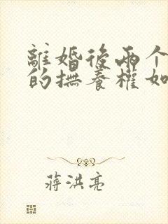 离婚后两个孩子的抚养权如何分