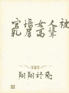 官场女人被潜,乳房高耸