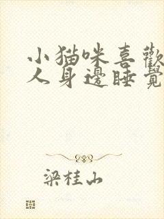 小猫咪喜欢在主人身边睡觉