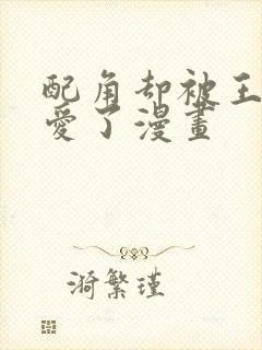 配角却被王子宠爱了漫画