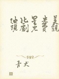 他比星光美丽电视剧免费观看