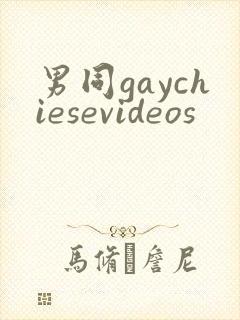 男同gaychiesevideos封面