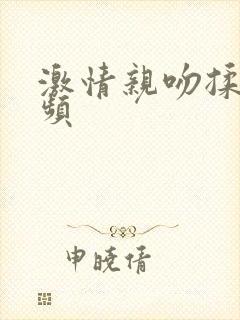 激情亲吻揉胸视频封面