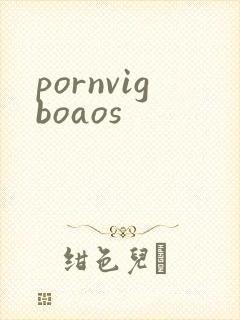 pornvigboaos封面