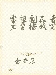 电视剧正者无敌免费播放完整版全集