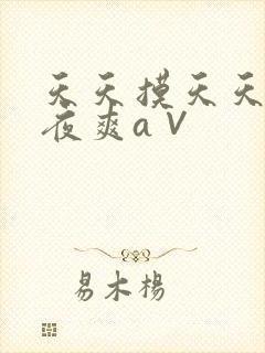 天天摸天天操夜夜爽a∨