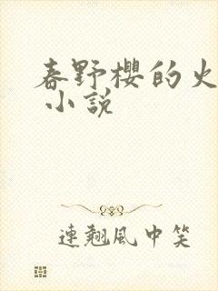 春野樱的火影传 小说