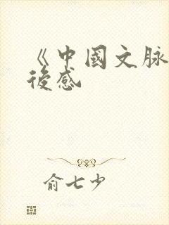 《中国文脉》读后感