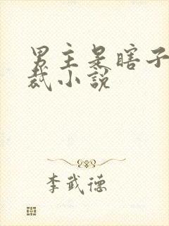 男主是瞎子的总裁小说封面