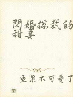 闪婚总裁的契约甜妻封面