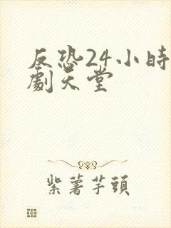 反恐24小时美剧天堂