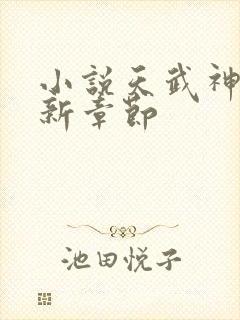 小说天武神帝最新章节