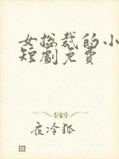 女总裁的小娇夫短剧免费