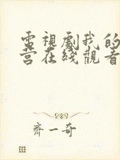 电视剧我的特一营在线观看