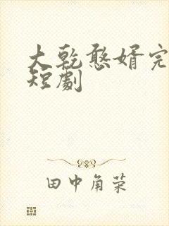 大乾憨婿完结篇短剧