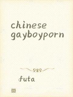 chinesegayboyporn
