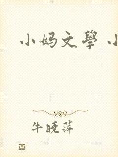 小妈文学 小说