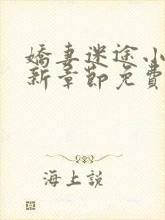 娇妻迷途小说最新章节免费阅读