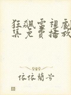 狂飙电视剧34集免费播放下载