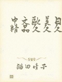 中文欧美日韩,精品久久久久久