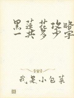 黑莲花攻略手册一共多少字